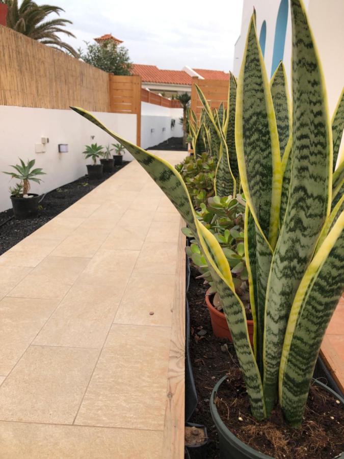 Cozy, Beach House , By Mahbovillas La Oliva Esterno foto